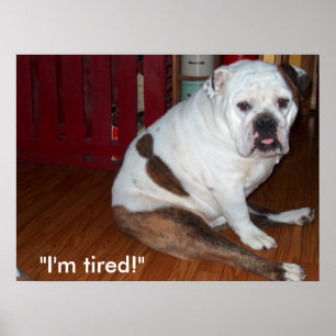 Poster - "Sullivan", the English Bulldog