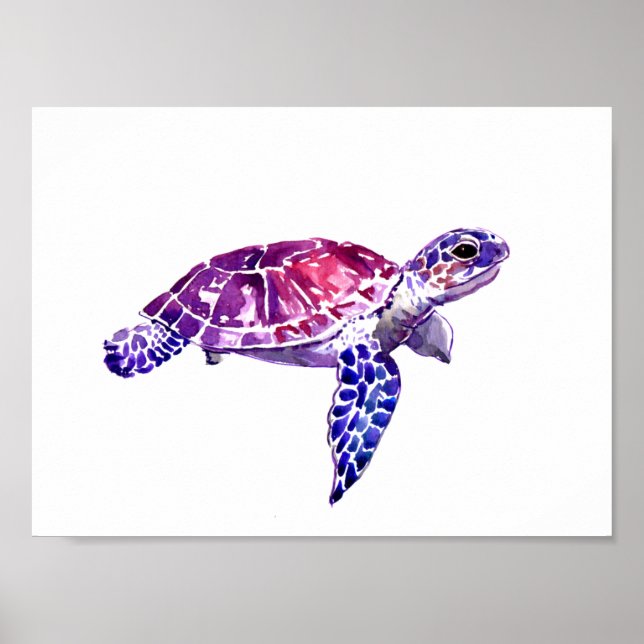 Poster - Swimming Free (Front)