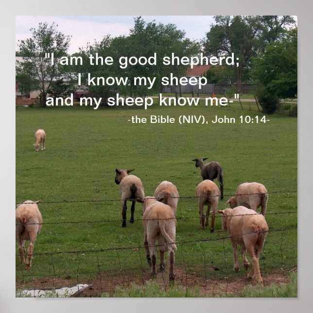 Poster/The Good Shepherd Poster (Front)