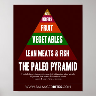 Poster: The Paleo Pyramid Poster