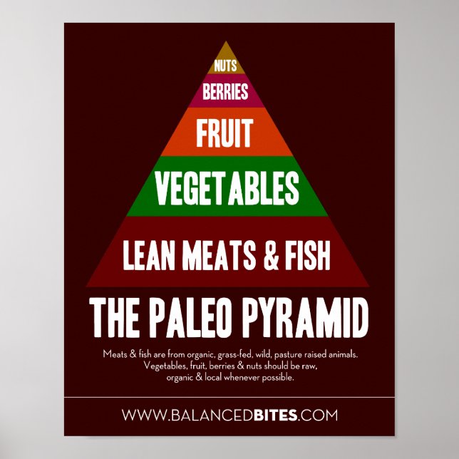 Poster: The Paleo Pyramid Poster (Front)