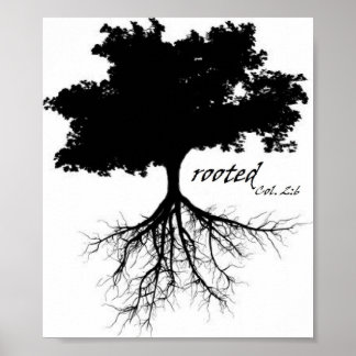 Poster (Tree "rooted" w/ Col. 2:6)