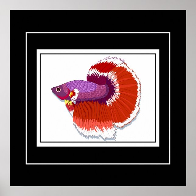 Poster-Tropical Fish Poster (Front)