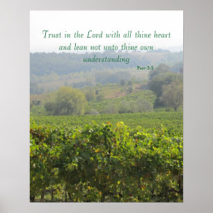 Poster--Tuscany Trust Poster