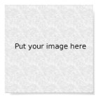 Poster (various sizes)