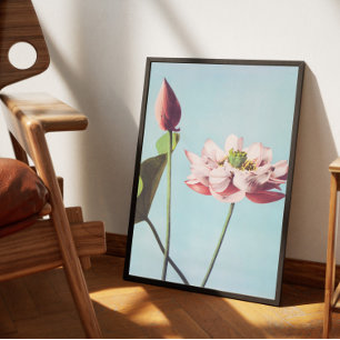 Poster Vintage fleurs de lotus