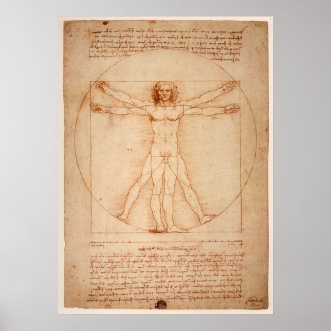 Poster Vitruvian Man by Leonardo da Vinci (Front)