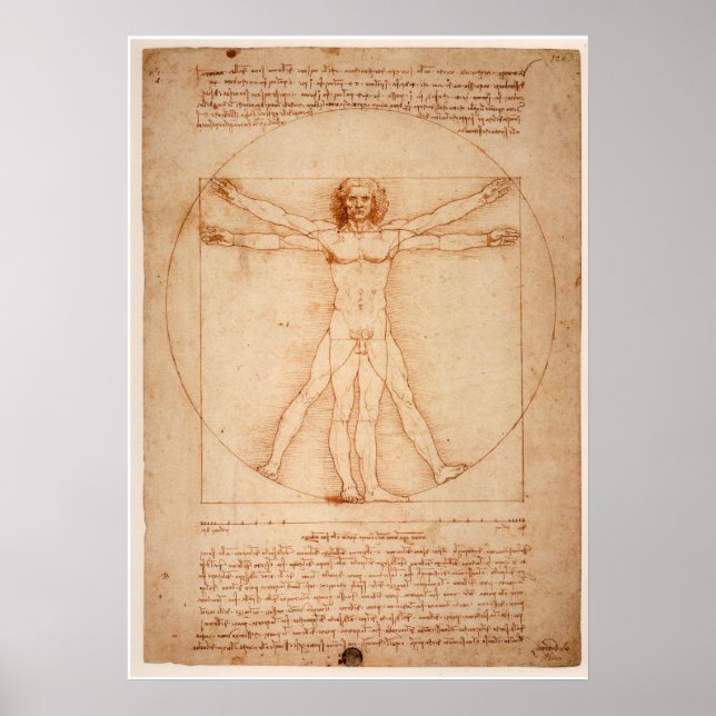 Poster Vitruvian Man by Leonardo da Vinci (Front)