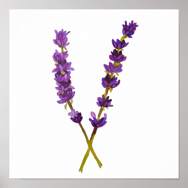 Poster, watercolor lavender poster (Front)