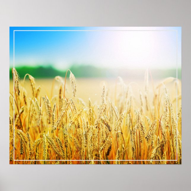 Poster-Wheat Poster (Front)