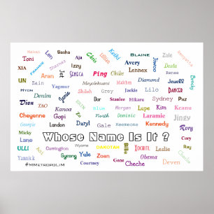 POSTER Whose Name Is It ? Unisex names on poster