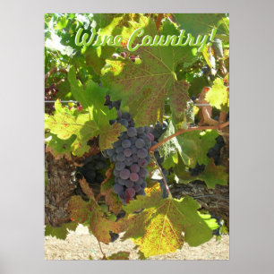 Poster - Wine Country