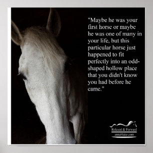 Poster with Anna Blake Quote about horses.