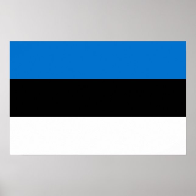 Poster with Flag of Estonia (Front)