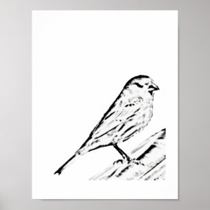 Poster - Wren to Colour