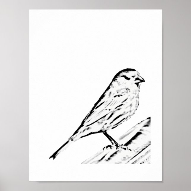 Poster - Wren to Colour (Front)