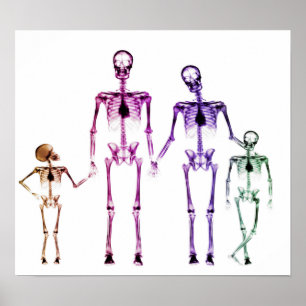 POSTER - X-RAY SKELETON FAMILY WHITE ORIGINAL