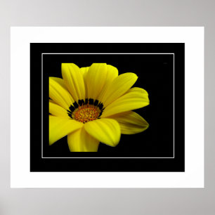 Poster-Yellow Daisy Poster