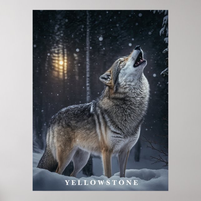 Poster Yellowstone Wolf (Front)