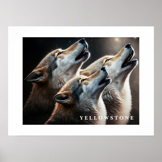 Poster Yellowstone Wolves (Front)