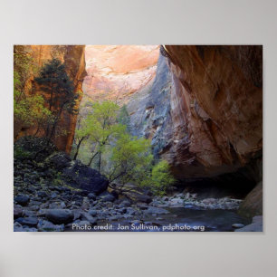 Poster / Zion Natonal Park