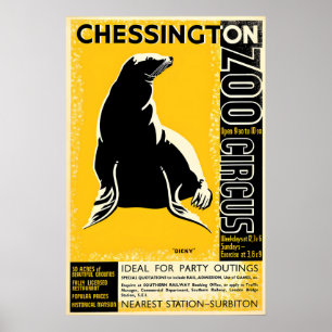 Poster Zoo Chessington (Seal)