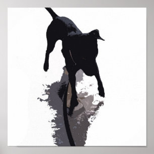posterised dog and shadow poster