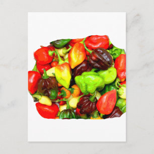 Posterised Hot Pepper Assortment Picture Postcard