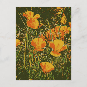 Posterised Poppies Postcard