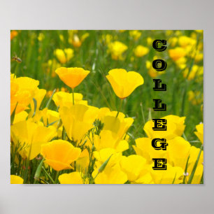 posters prints School Teachers Poppies