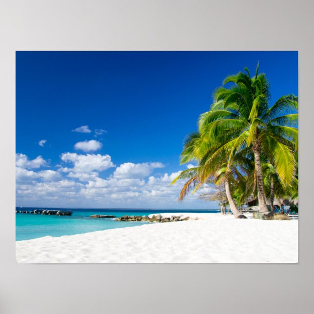 Posters - Sous le soleil des tropiques (Front)