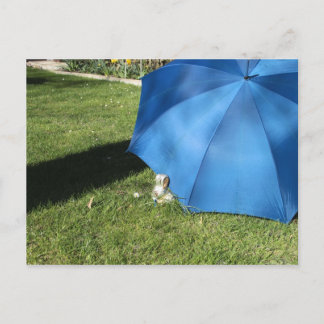 Postkarte - der Osterhase zu Besuch Postcard