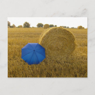 Postkarte - ein ungleiches Paar Postcard