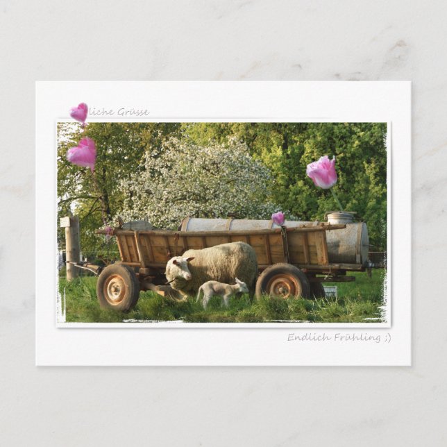 Postkarte: Frühling Postcard (Front)