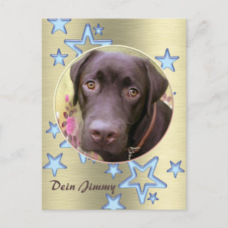 Postkarte Labrador Jimmy Postcard