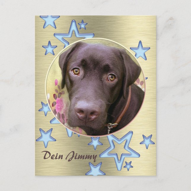 Postkarte Labrador Jimmy Postcard (Front)