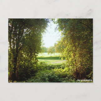 Postkarte - Laubfenster Postcard