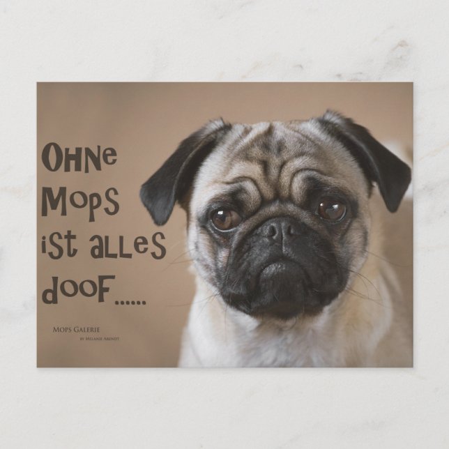 Postkarte "Ohne Mops ist alles doof" Postcard (Front)
