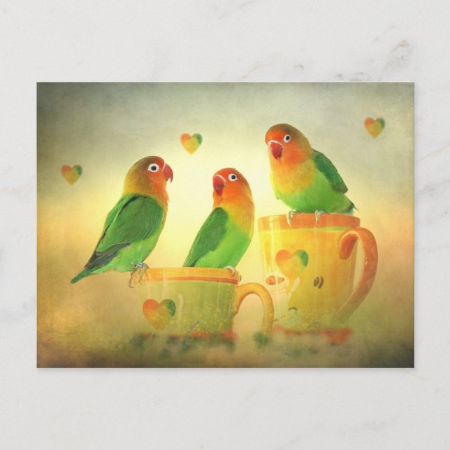 Postkarte Postcard (Front)