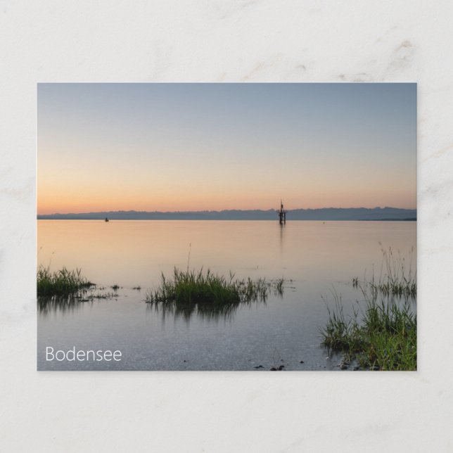 Postkarte vom Bodensee mit Alpen Postcard (Front)