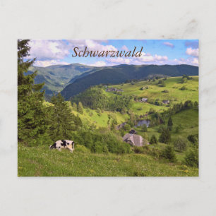 Postkarte: Wiesen und eine Kuh mit Panoramaansicht Postcard