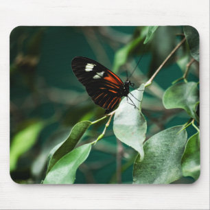 Postman 184 Mousepad