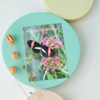 Postman Butterfly on Pink Flowers Nature Birthday
