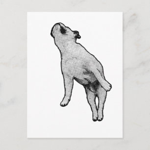 Postmark: Peace Postcard