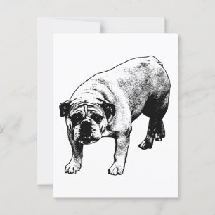 Postmarked Bulldog Joy Postcard