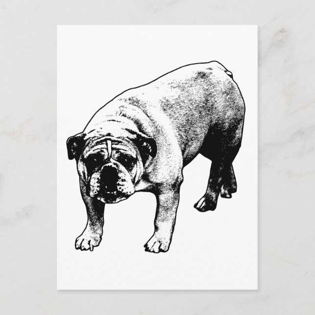 Postmarked Bulldog Joy Postcard (Front)