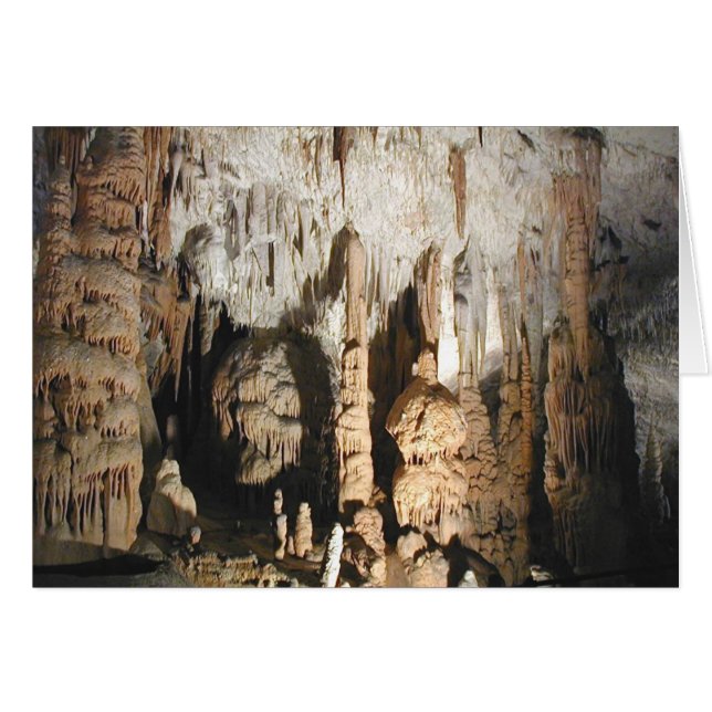 Postojna Caves (Front Horizontal)
