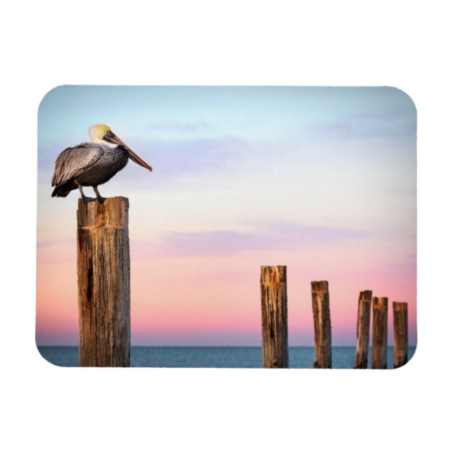 Posts & a Pelican | Fort Myers Beach, Florida Magnet (Horizontal)