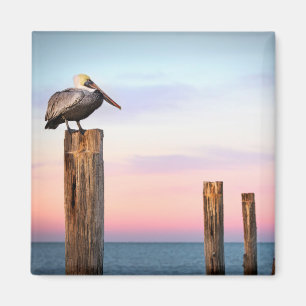Posts & a Pelican Fort Myers Beach, Florida Magnet