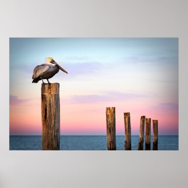 Posts & a Pelican | Fort Myers Beach, Florida Poster (Front)